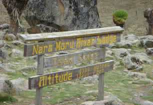 Naro-moru trail
